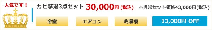 カビ撃退3点セット(浴室、エアコン、洗濯槽) 30000円